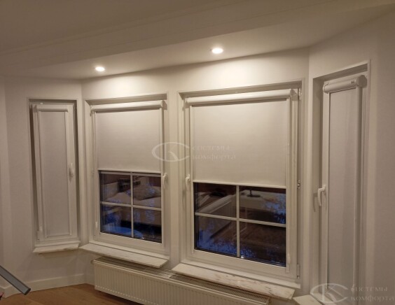 Рулонные шторы Блэкаут