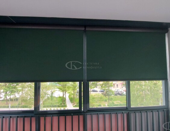 Рулонные шторы Блэкаут