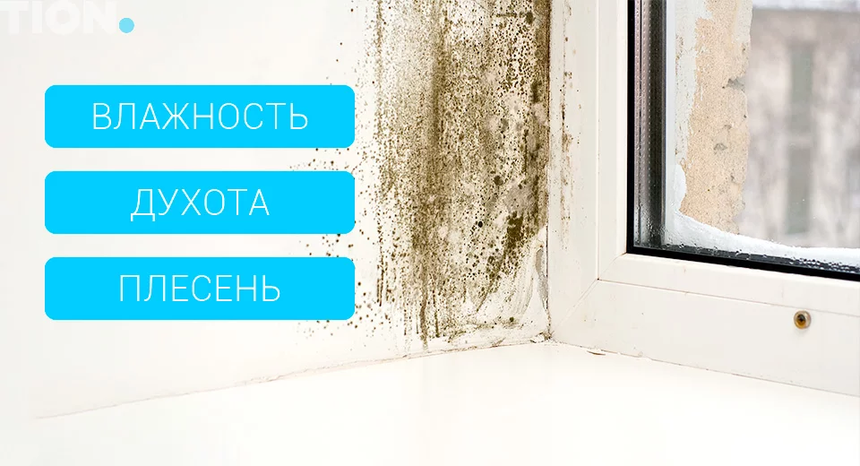 последствия конденсата на окнах последствия конденсата на окнах